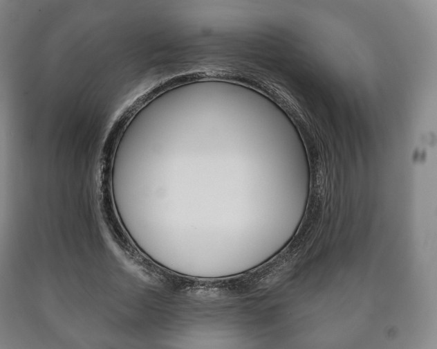 X0000090900730200707301011