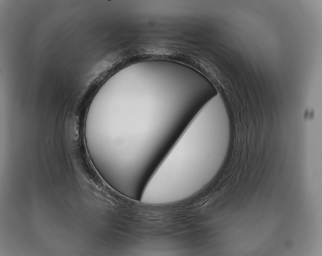 X0000090900731200707301011