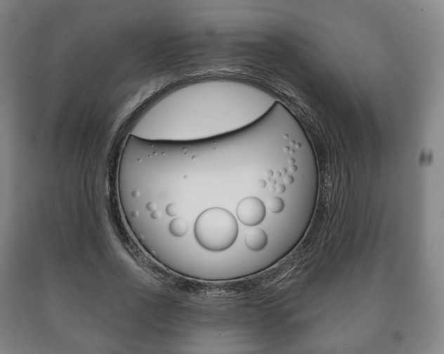 X0000090900734200707301011