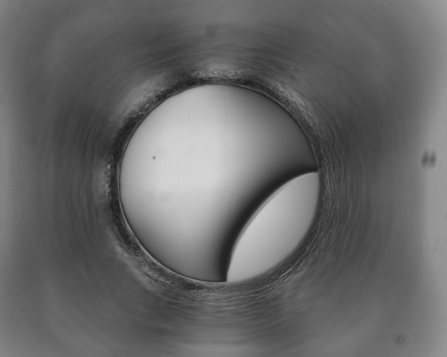 X0000090900735200707301011