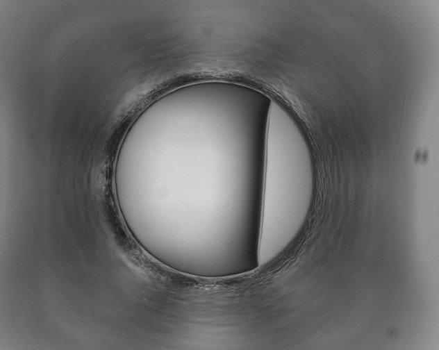 X0000090900736200707301011