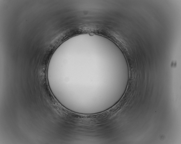 X0000090900737200707301011