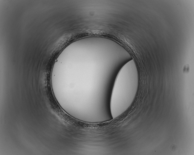 X0000090900738200707301011
