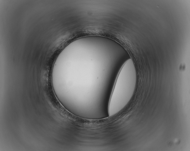 X0000090900739200707301011