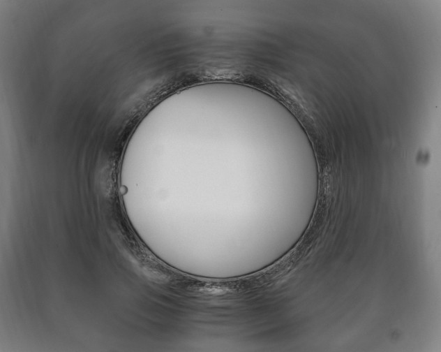X0000090900741200707301011