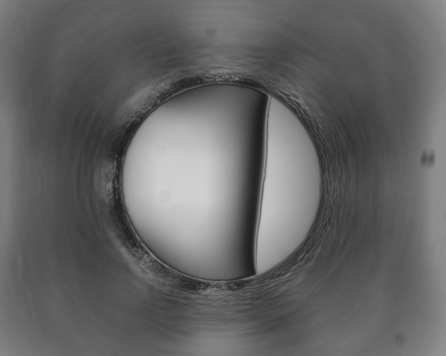 X0000090900742200707301011