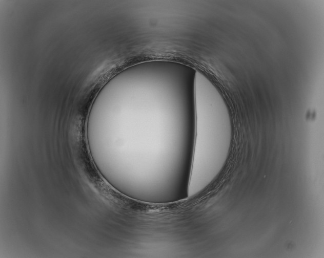 X0000090900744200707301011