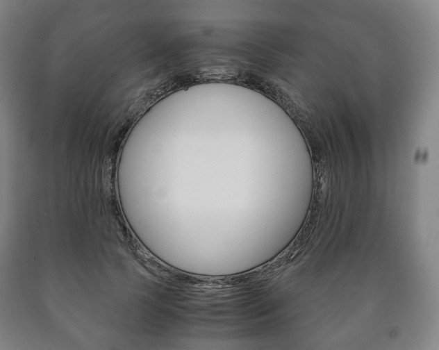 X0000090900745200707301011