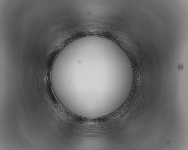 X0000090900746200707301011