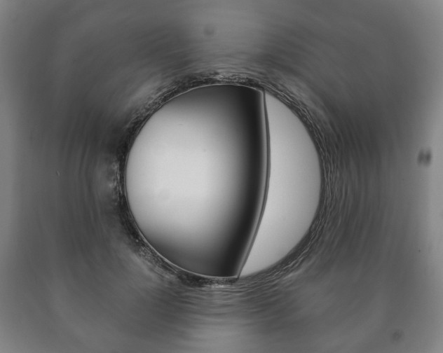 X0000090900748200707301011