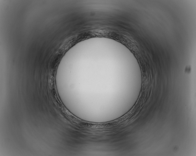 X0000090900749200707301011