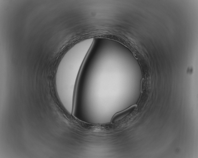 X0000090900750200707301011