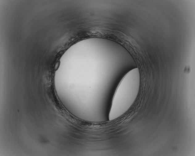 X0000090900751200707301011