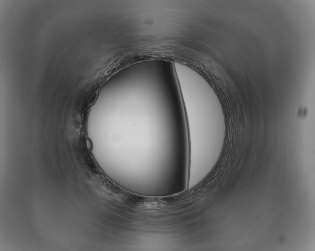 X0000090900752200707301011
