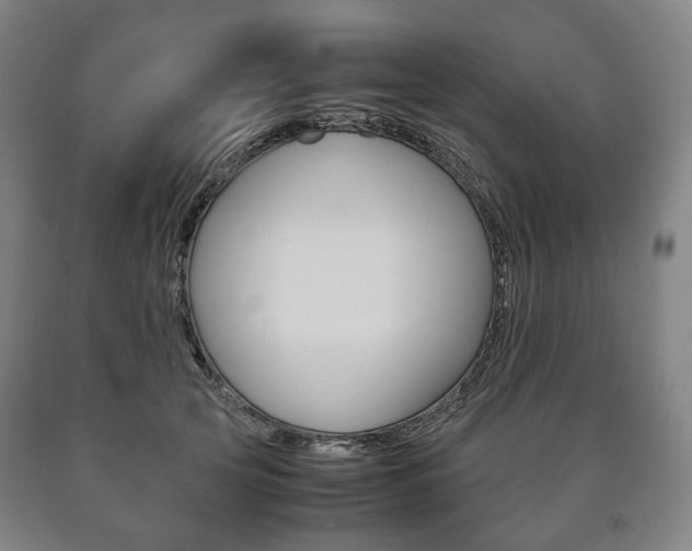 X0000090900753200707301011