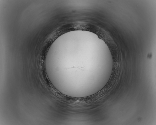 X0000090900755200707301011