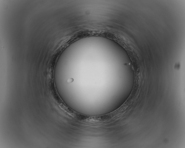 X0000090900756200707301011