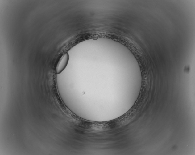 X0000090900757200707301011