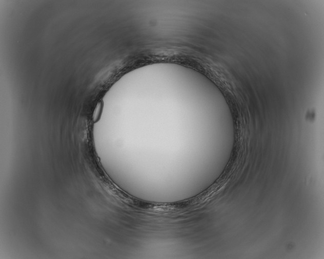 X0000090900758200707301011