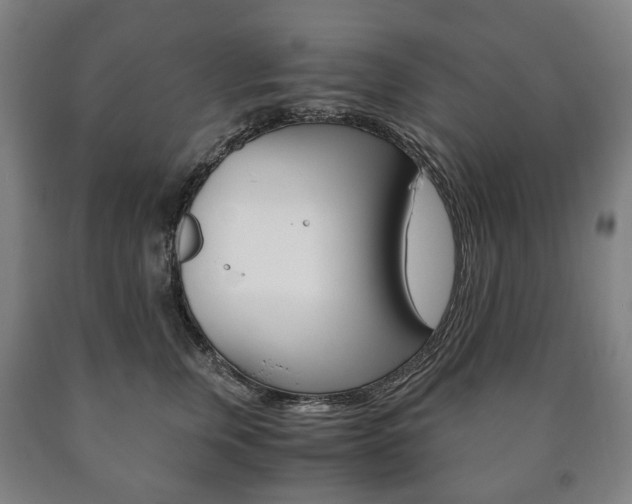 X0000090900759200707301011