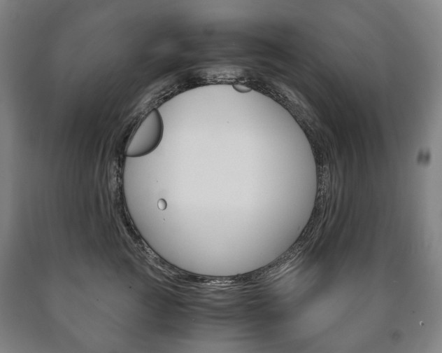 X0000090900761200707301011