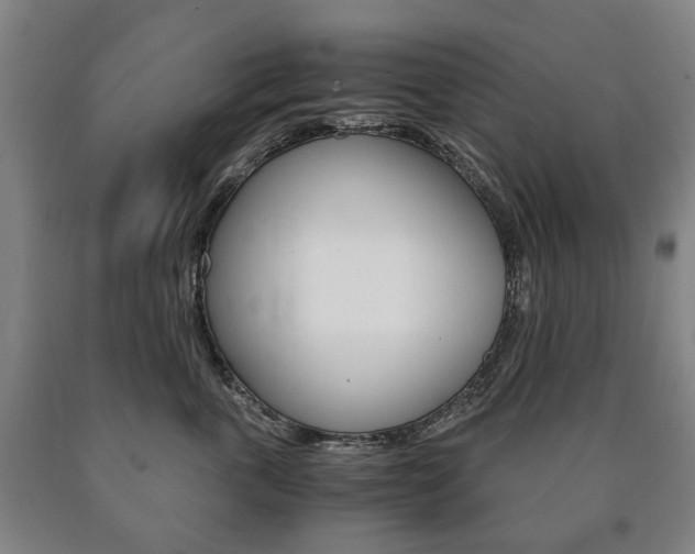 X0000090900763200707301011