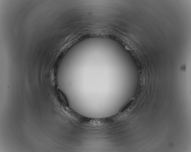 X0000090900764200707301011