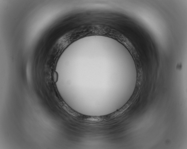 X0000090900765200707301011