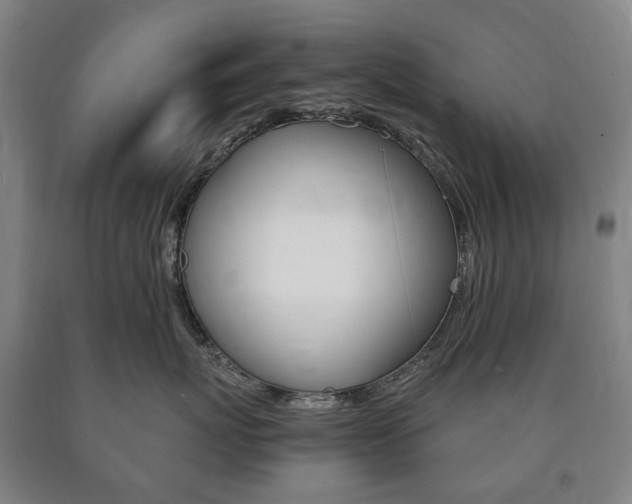 X0000090900767200707301011
