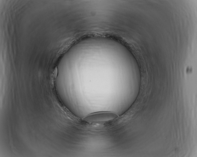 X0000090900768200707301011