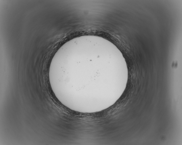 X0000090900769200707301010