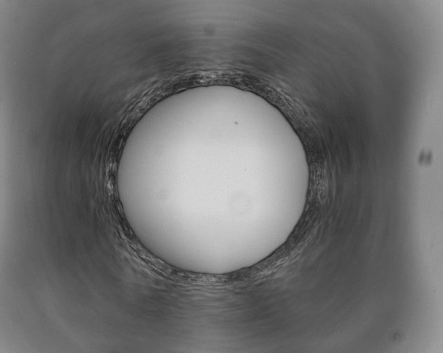 X0000090900770200707301010