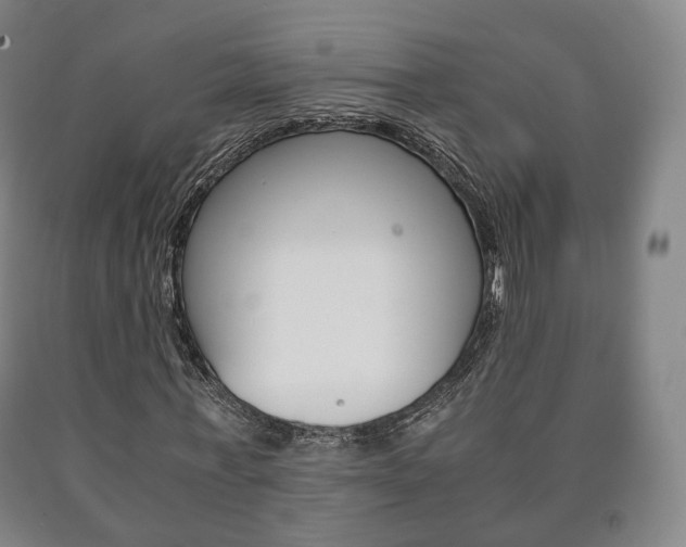 X0000090900771200707301010