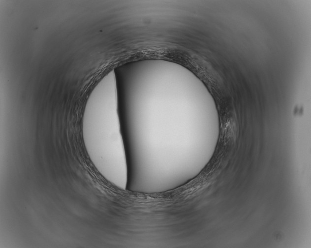 X0000090900772200707301010