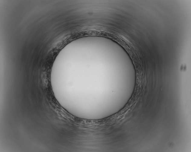 X0000090900774200707301010