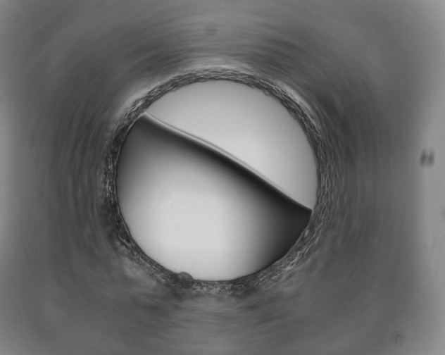 X0000090900775200707301010