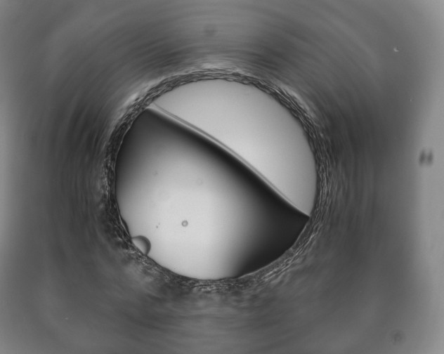 X0000090900776200707301010