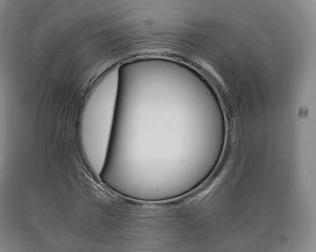 X0000090900777200707301010