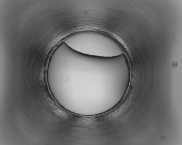 X0000090900778200707301010