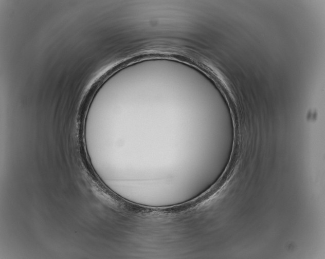 X0000090900779200707301010
