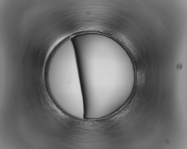 X0000090900780200707301010