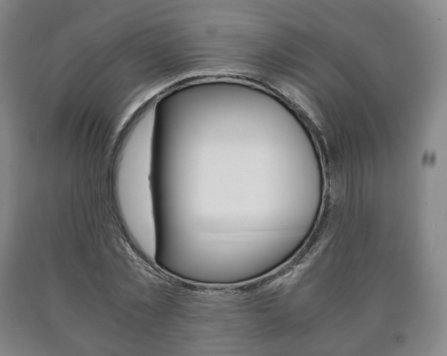 X0000090900781200707301010