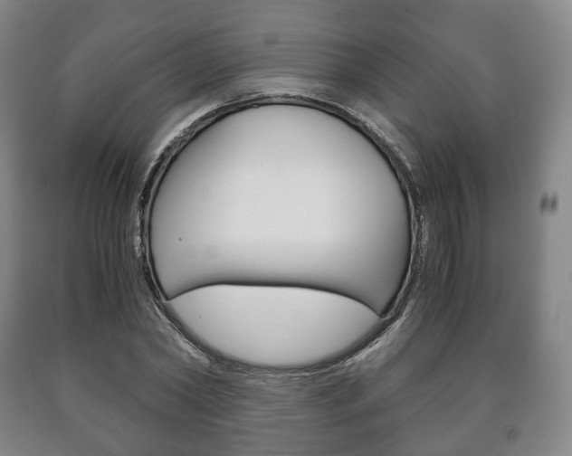 X0000090900782200707301010