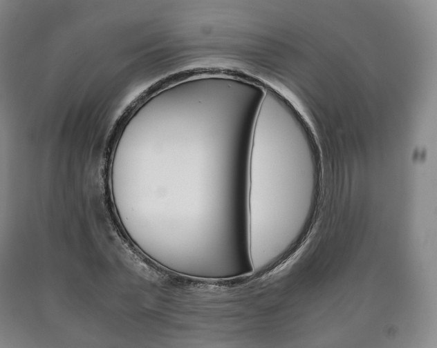 X0000090900783200707301010