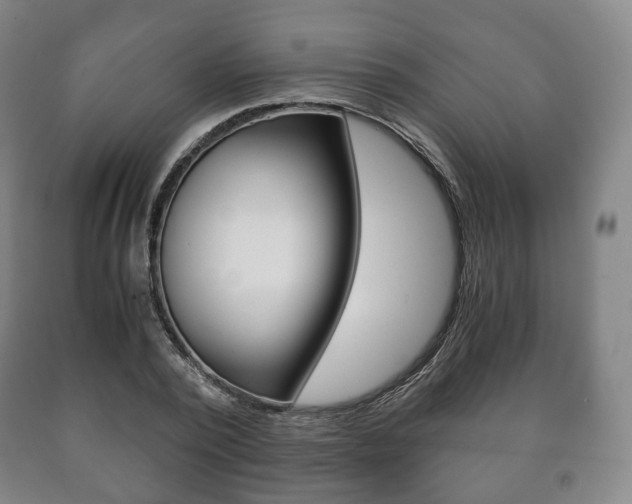 X0000090900784200707301010