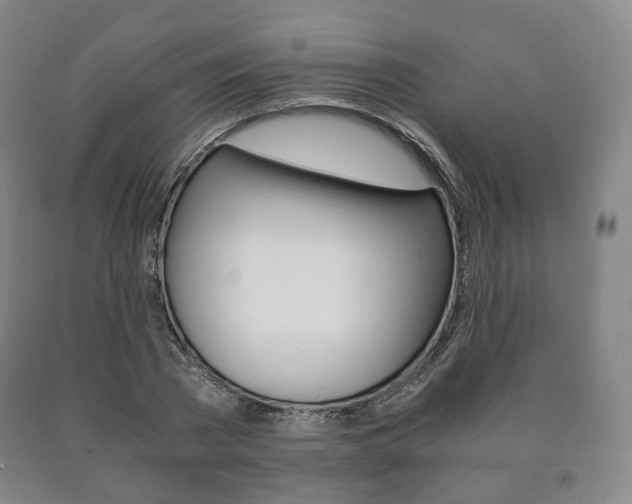 X0000090900785200707301010