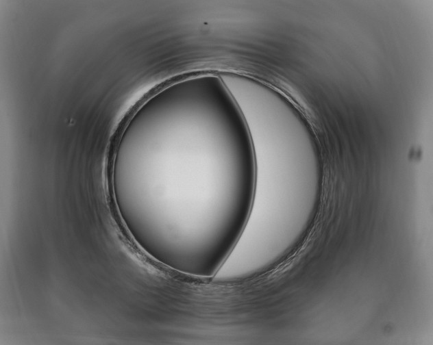X0000090900788200707301010