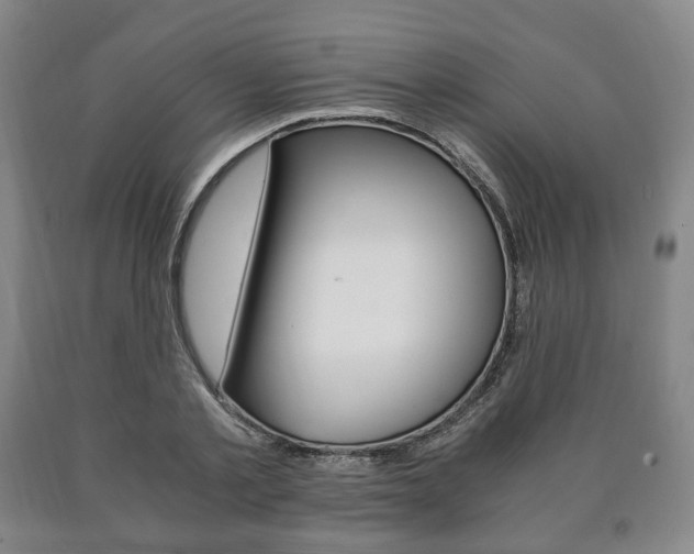 X0000090900789200707301010