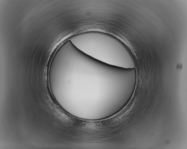 X0000090900790200707301010
