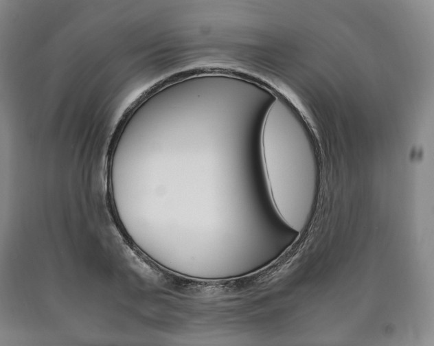 X0000090900791200707301010